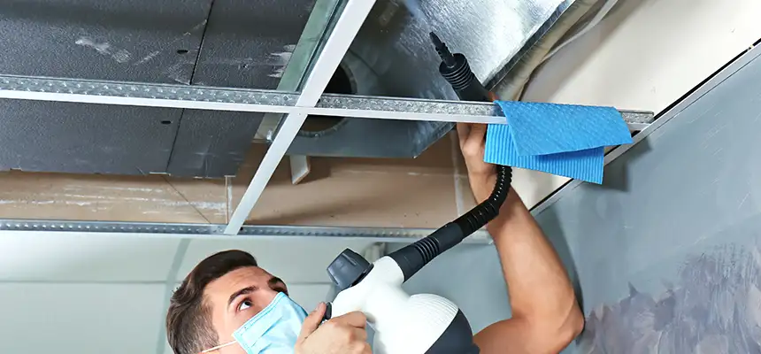Our Air Duct Rodent Removal Services in Suffolk, VA