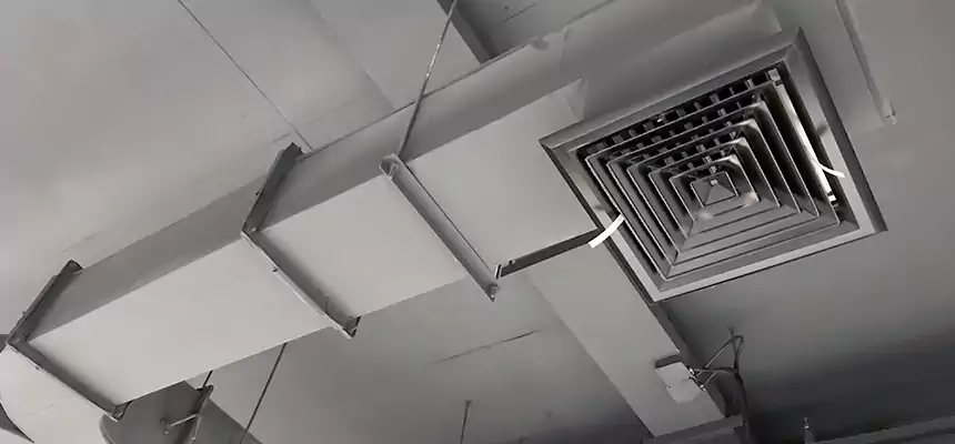 Restorative Allergy Relief Vent Cleaning – Coil, Blower & Housing Detail in Suffolk