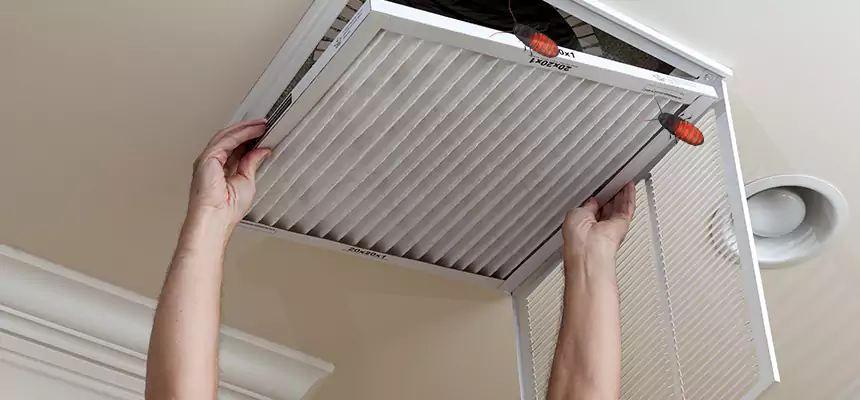 Our Insect Removal from Air Ducts Services in Suffolk, VA