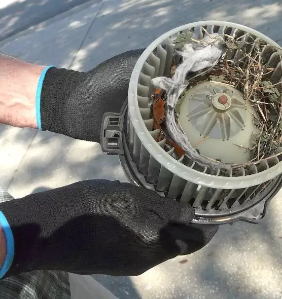 About Air Duct Rat Removal in Suffolk, VA