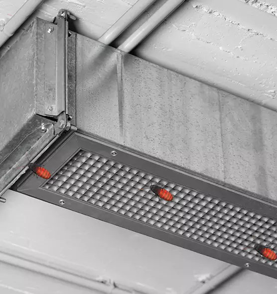 Affordable Insect Removal from Air Ducts in Suffolk, VA