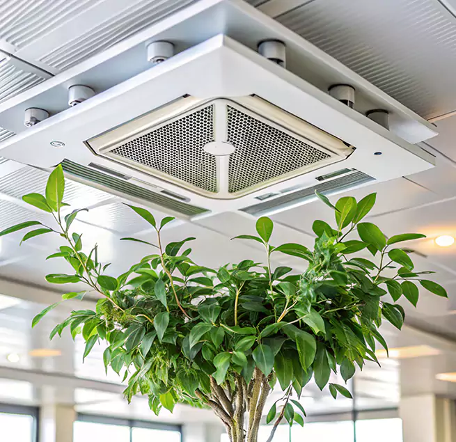 Why Homeowners & Businesses Trust Us in Suffolk, VA?